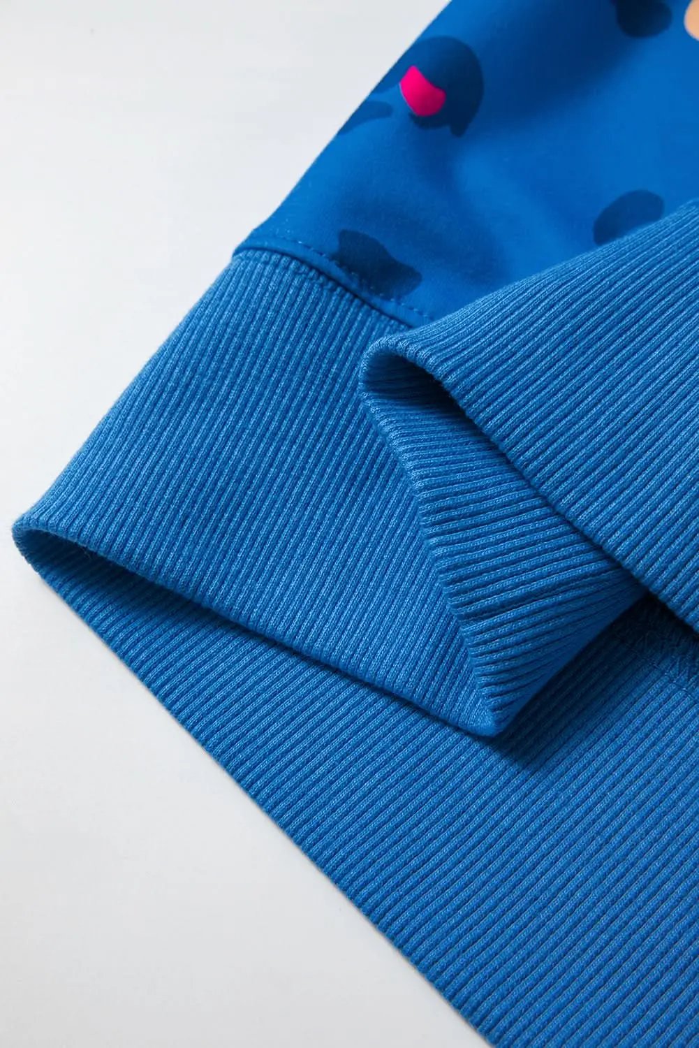 Sky blue leopard print pullover - Love Salve